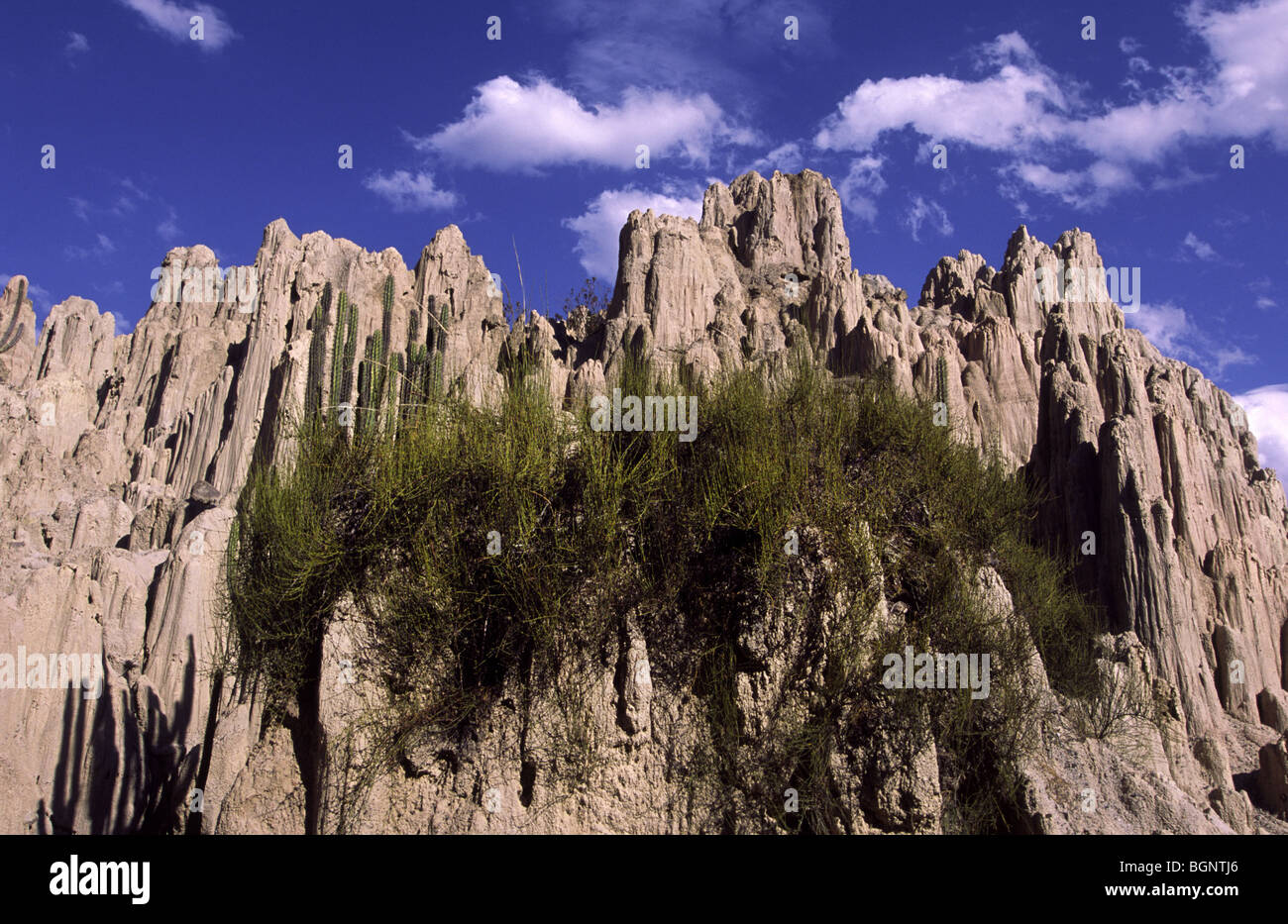 Bolivia near la paz altiplano hi-res stock photography and images - Alamy