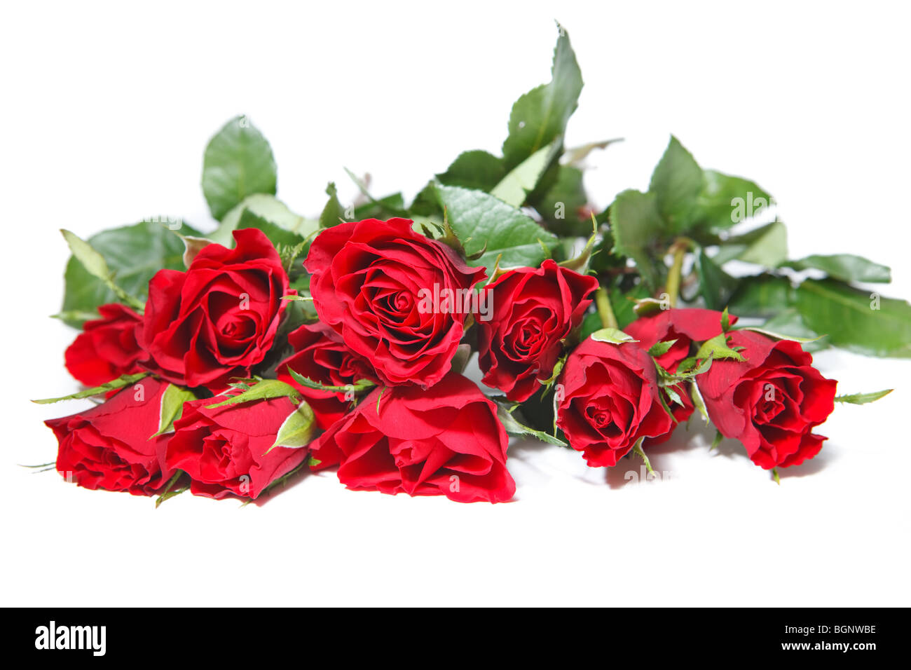 Rose bouquet isolated on white background Stock Photo