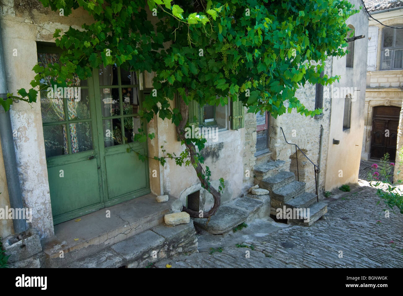 Grapevine growing on house front in alley of the village Gordes in the Vaucluse, Provence-Alpes-Côte d'Azur, Provence, France Stock Photo