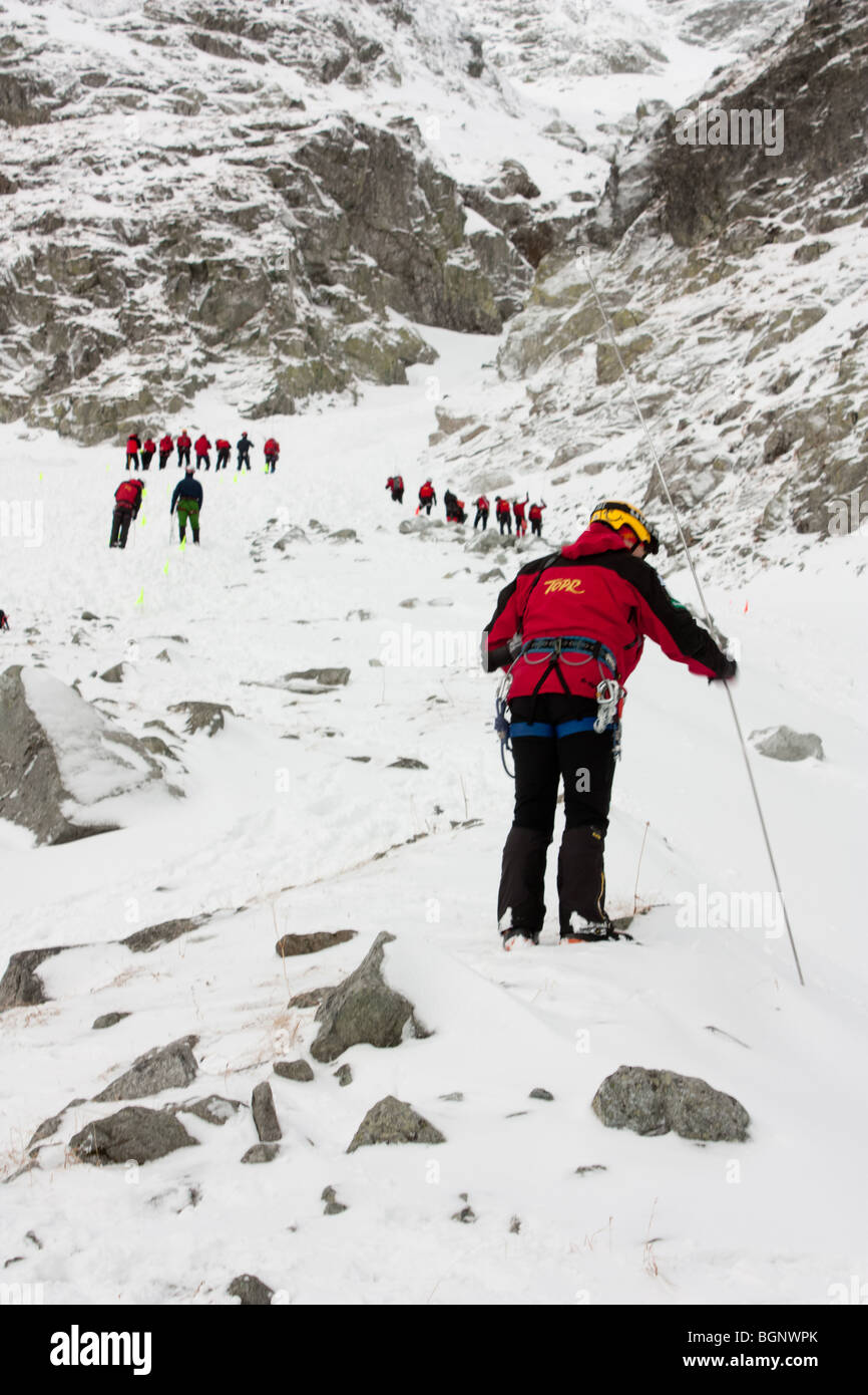 Rescue team working after avalanche Stock Photo Alamy