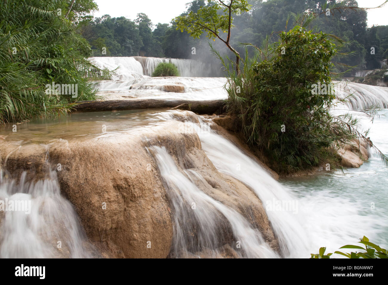 Agua Azul jungle waterfalls and rapids in Chiapas Mexico Stock Photo