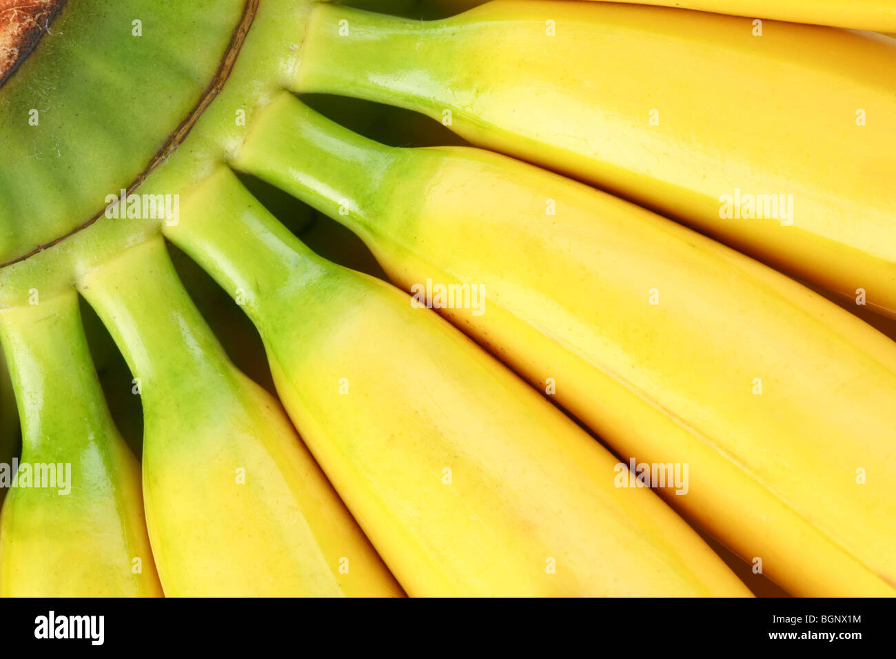 Bunch of bananas Stock Photo Alamy