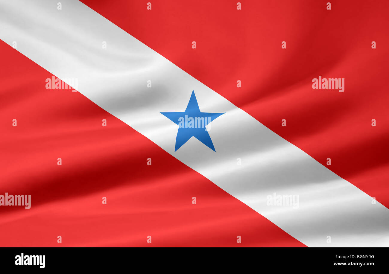Very large flag of the brazilian state of Para Stock Photo