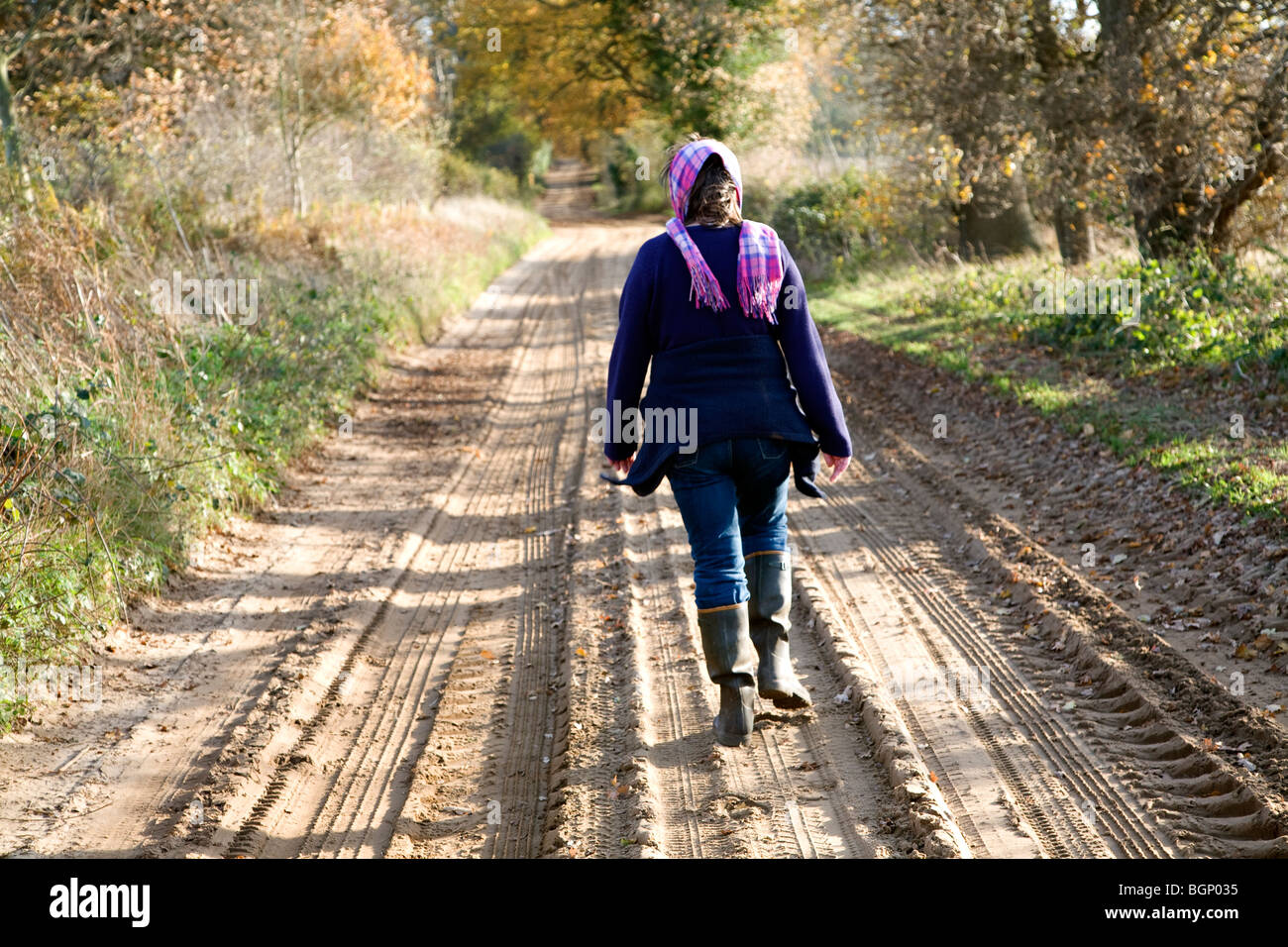 Rear view woman country walk autumn Suffolk Sandlings Stock Photo