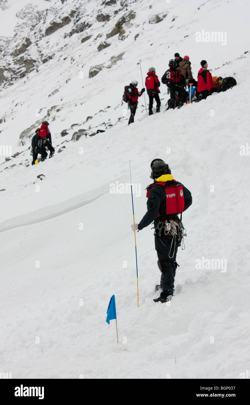 Rescue team working after avalanche Stock Photo Alamy