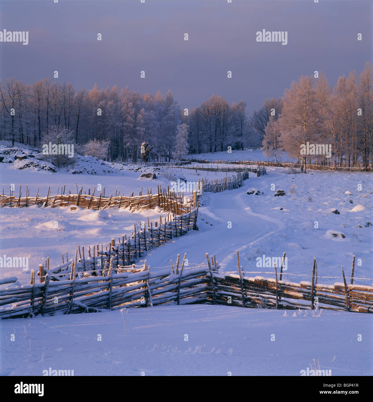 Snow-covered pastureland, Smaland, Sweden. Stock Photo