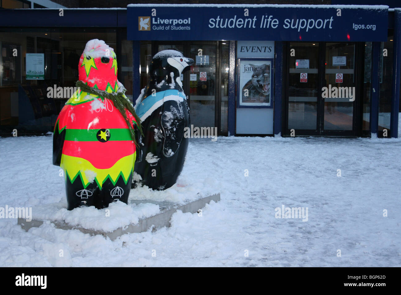 Go Penguins 'El Luchador' & 'Student Penguin' In The Snow Outside Liverpool University's Guild of Students, UK Stock Photo