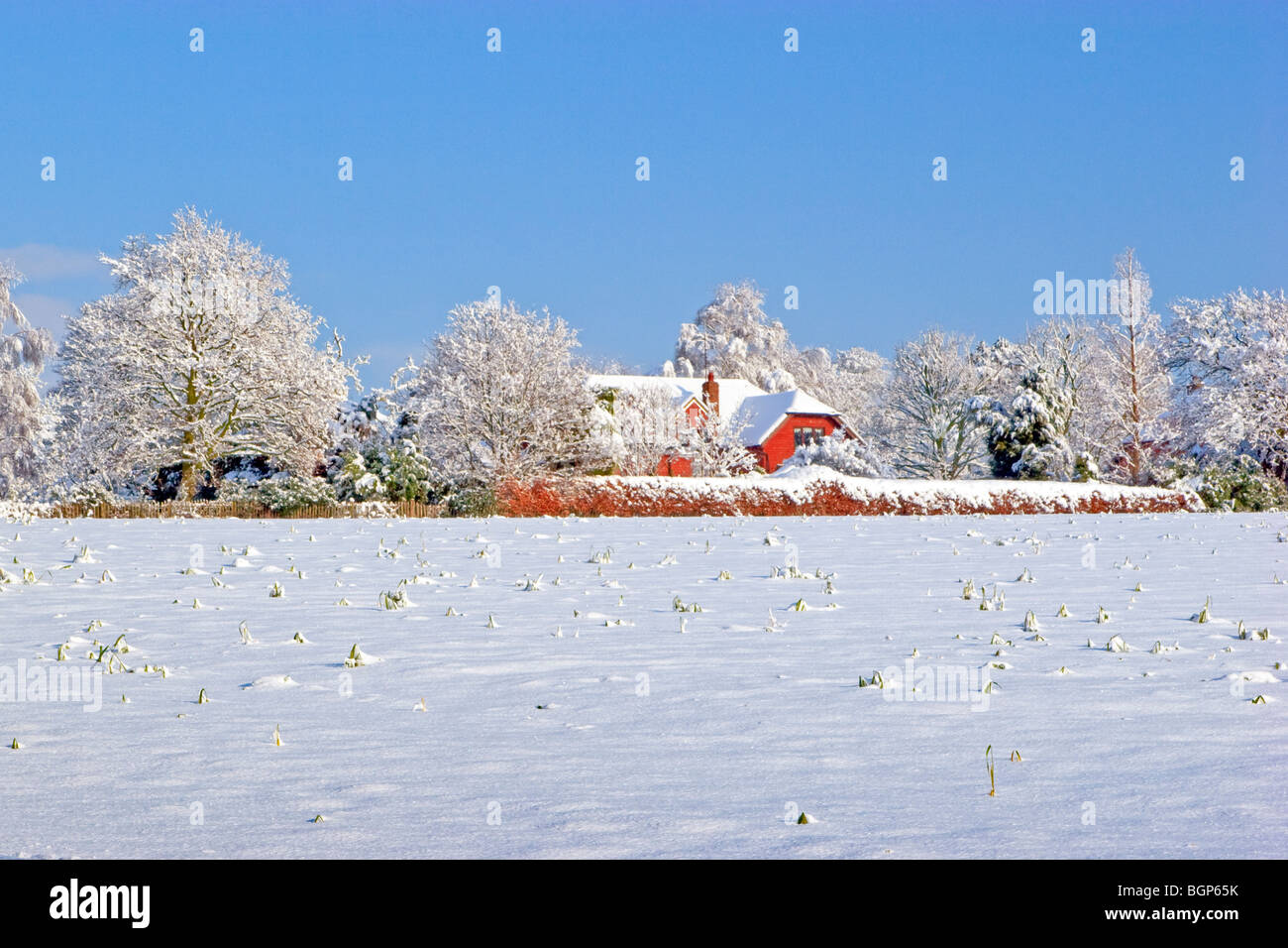 Winter scene sussex hi-res stock photography and images - Alamy