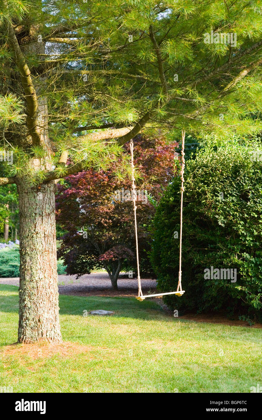 Rope swing hanging on a tree Stock Photo - Alamy