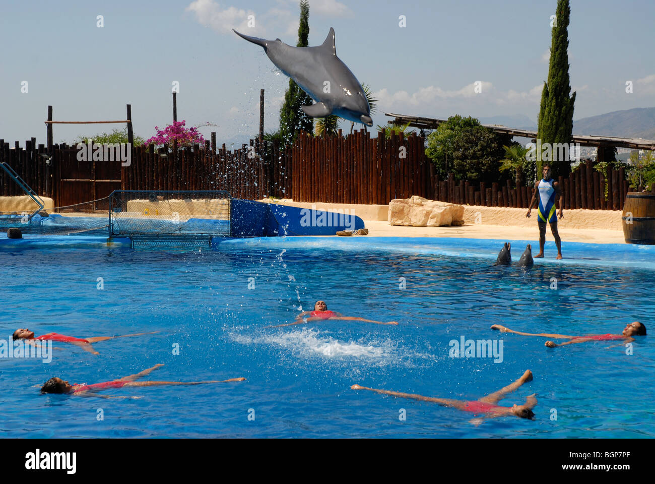 dolphin jumping Dolphin Show, Mundomar, Benidorm, Alicante Province, Comunidad Valenciana, Spain Stock Photo