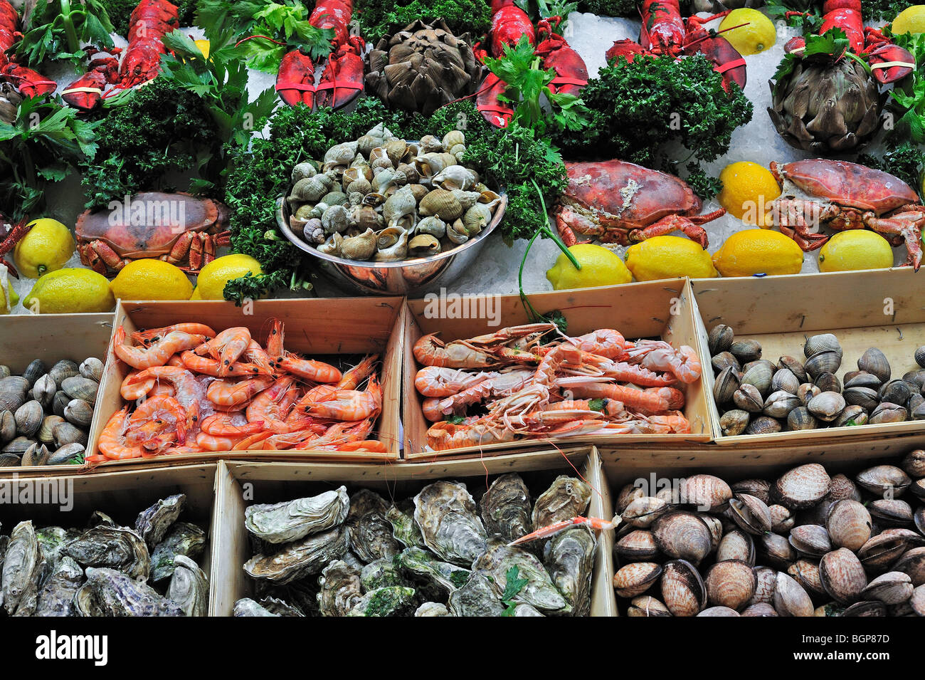 Shellfish / fruits de mer on display with oysters, scampis, crabs and lobsters Stock Photo