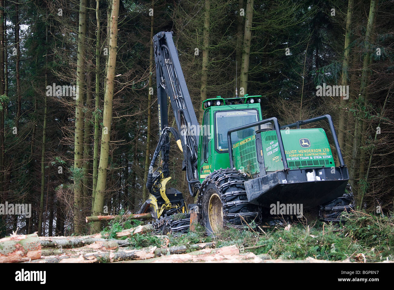 Forestry machine cutting trees to length Stock Photo Alamy