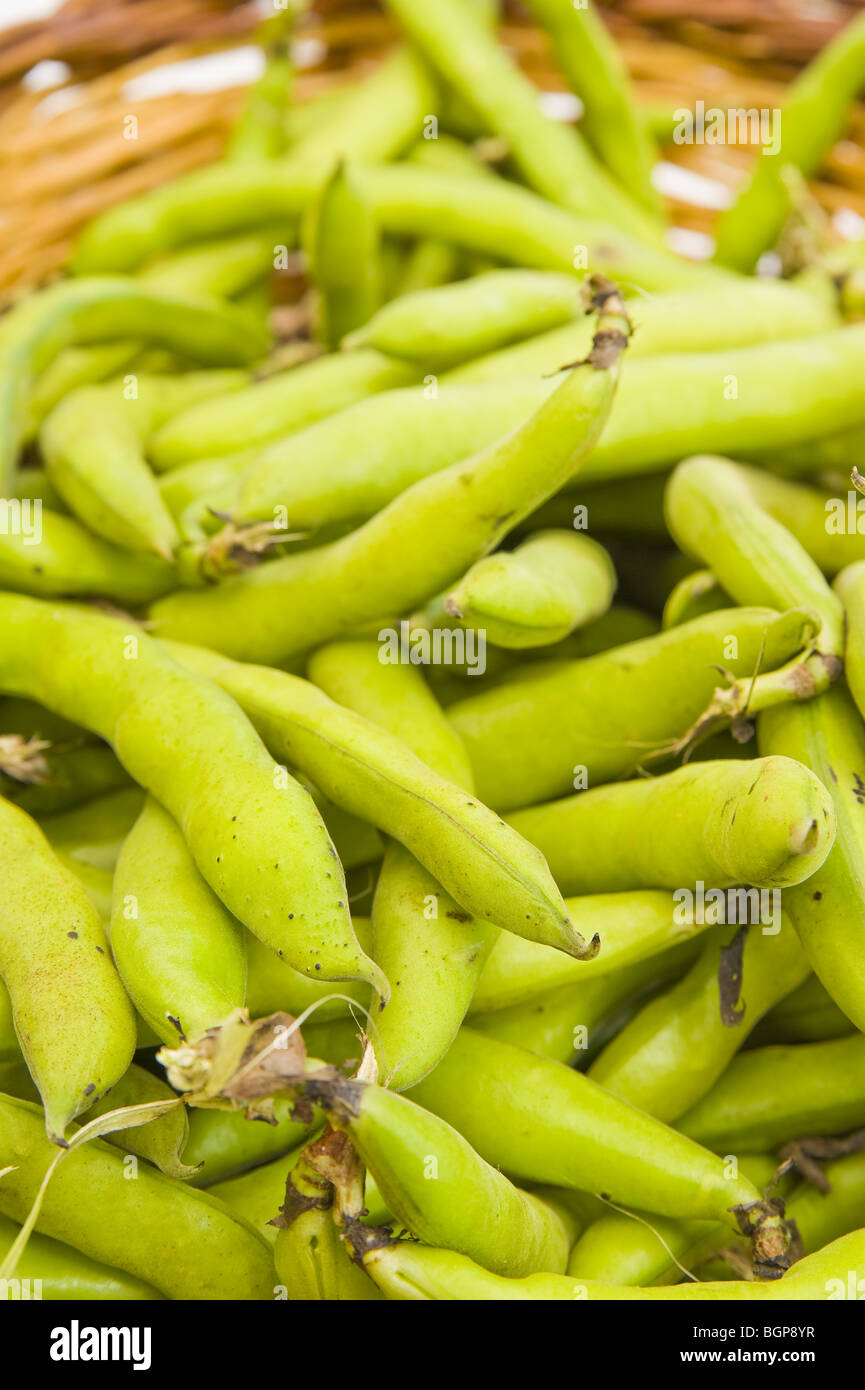 Broad bean close up Stock Photo