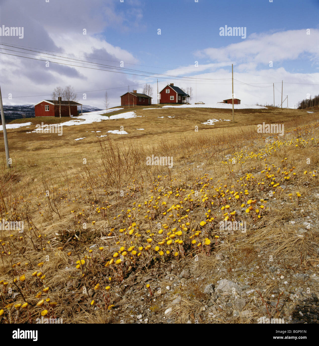 Houses, Lapland, Sweden Stock Photo Alamy