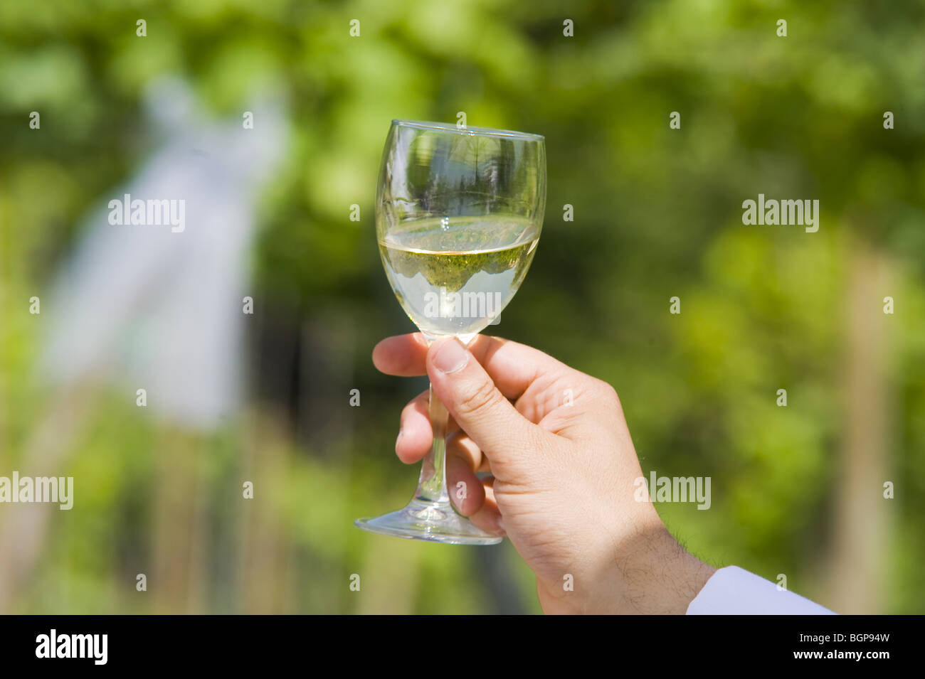 Person holding glass of white wine Stock Photo