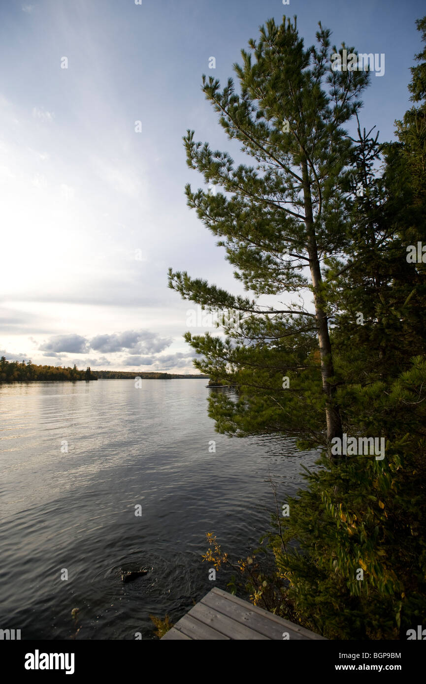 Lakeshore, Lake of the Woods, Ontario, Canada Stock Photo Alamy