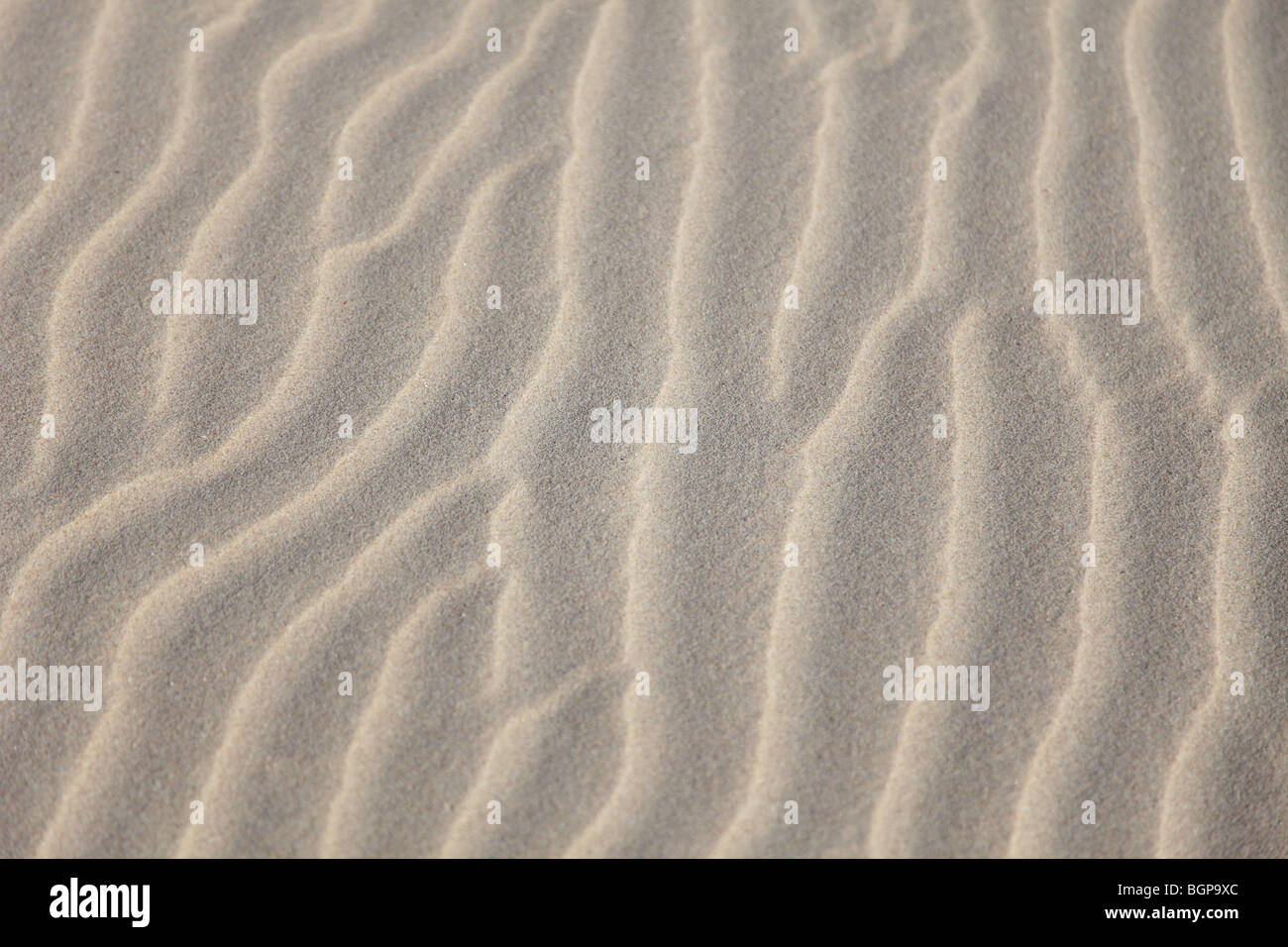 Typical sand texture on the beach or desert Stock Photo - Alamy