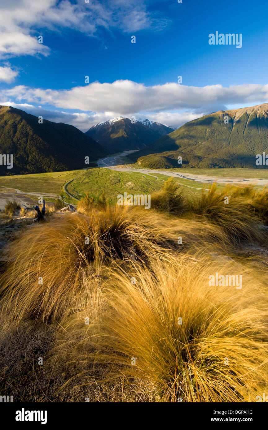 Arthur's Pass National Park, South Island, New Zealand Stock Photo