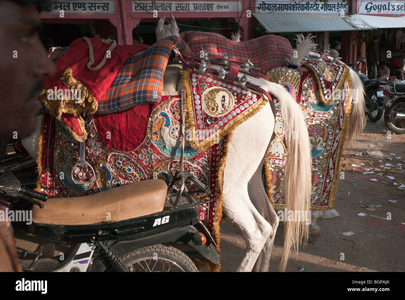 Brightly coloured saddled horses in a Jaipur square, Jaipur, India Stock Photo