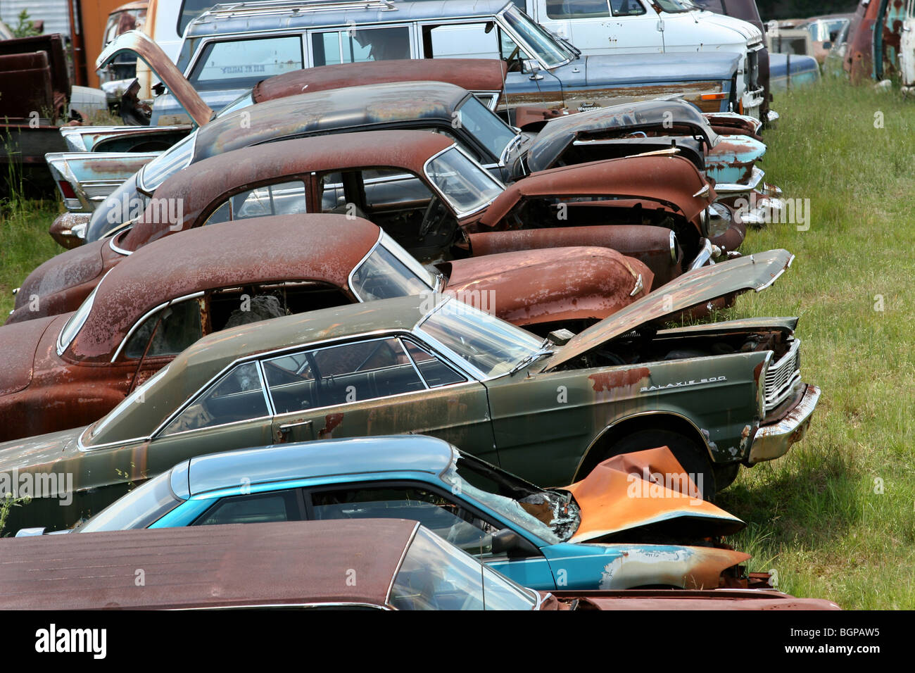 An American country junk yard with a rusty 1960's Ford Galaxie 500 in line in Pennsylvania Stock Photo