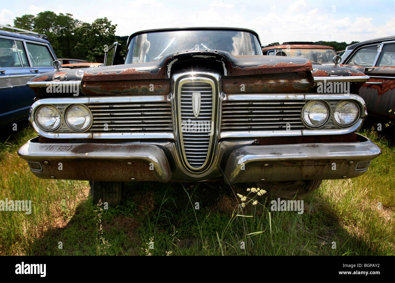 Classic cars rust peacefully in an American country junk yard Stock ...