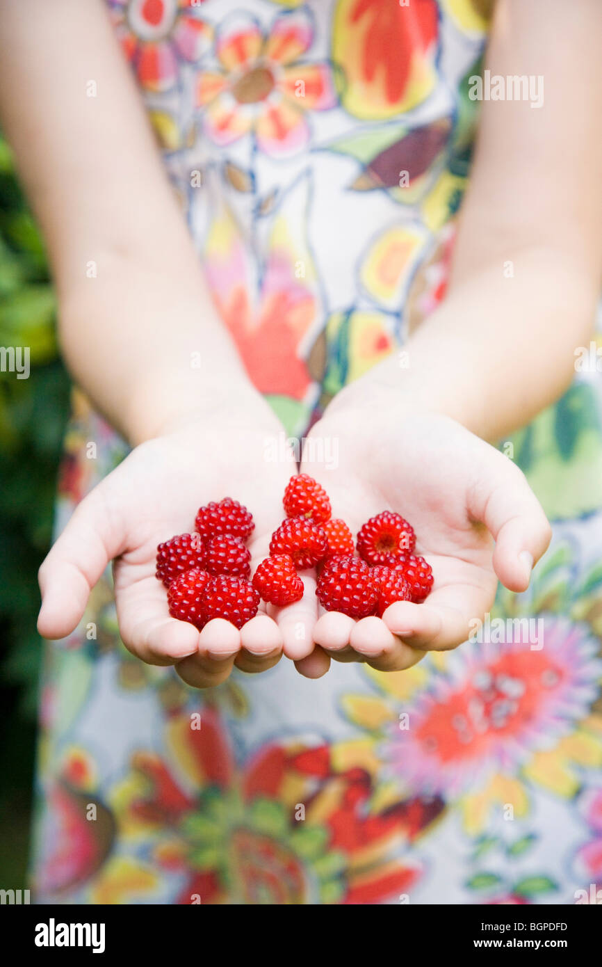 Mid section view of a girl's hands holding raspberries Stock Photo - Alamy