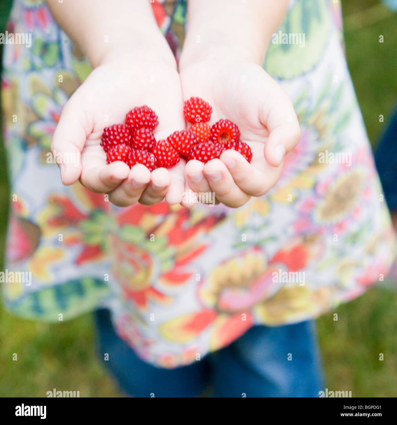 Close-up of a girl's hands holding raspberries Stock Photo - Alamy
