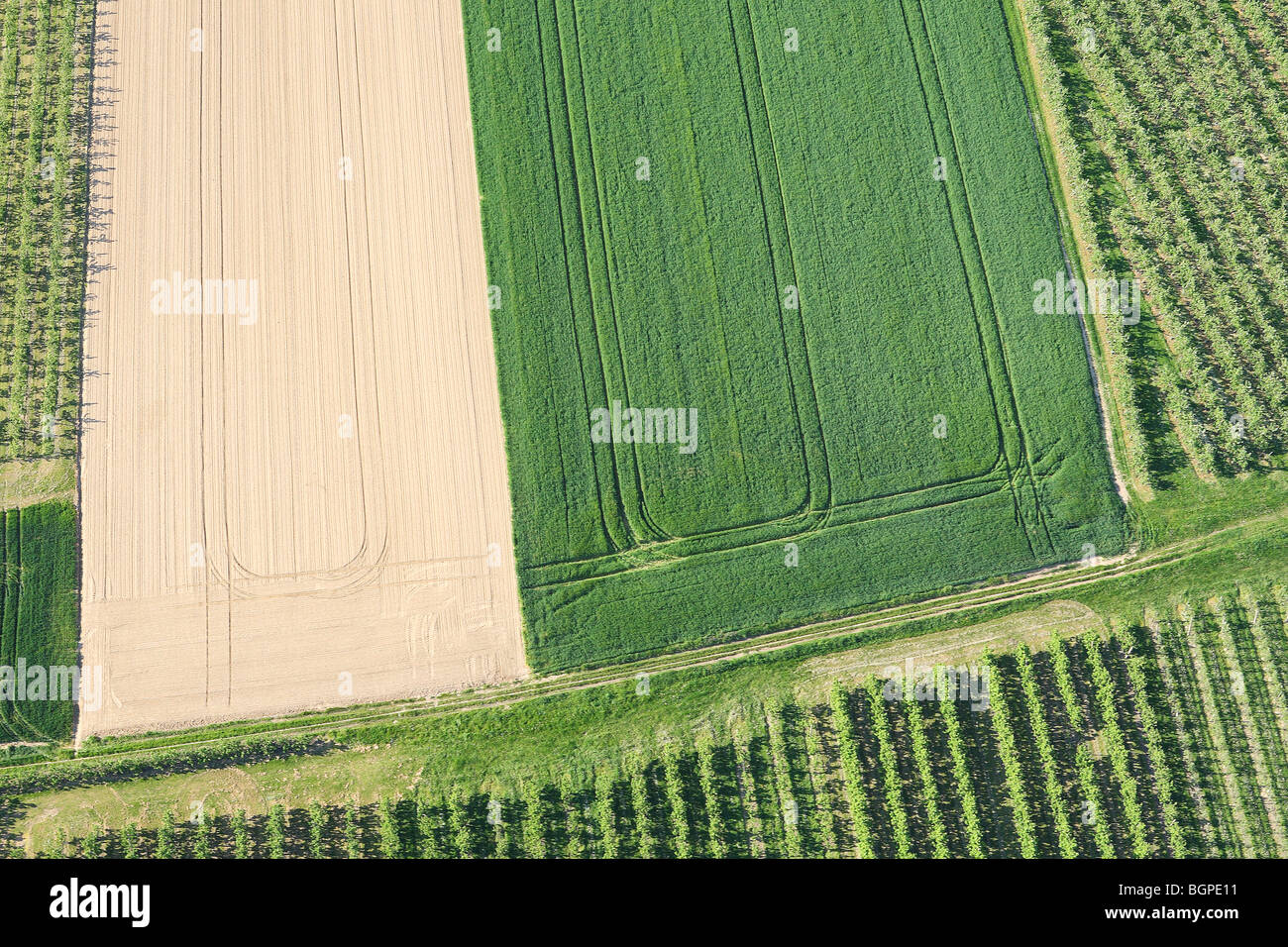 Agricultural area with fields en grasslands from the air, Belgium Stock Photo