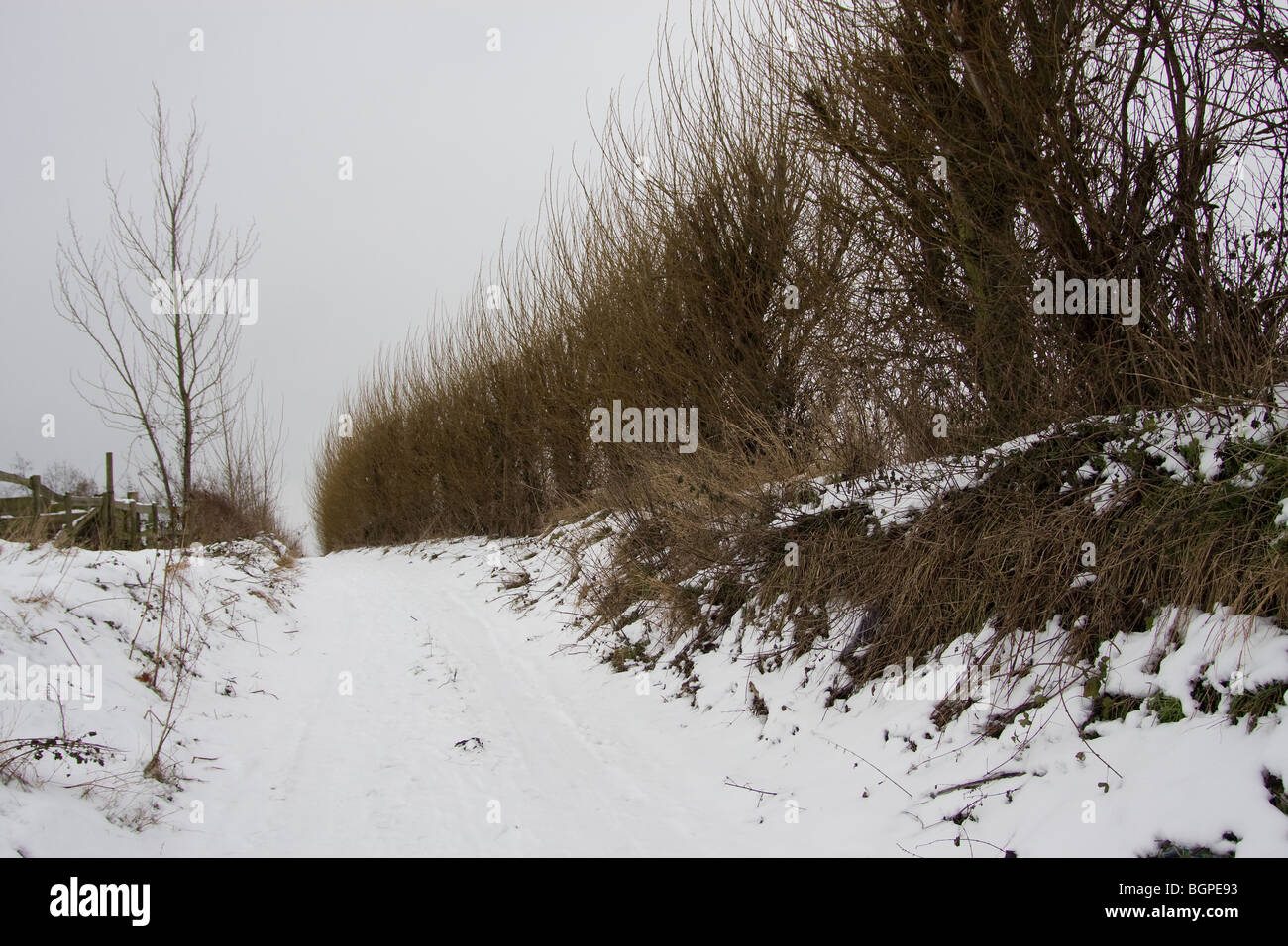 snow winter country scene countryside cold ice Stock Photo