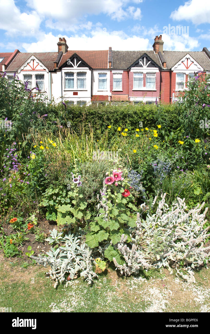 Garden flower bed border hi-res stock photography and images - Alamy