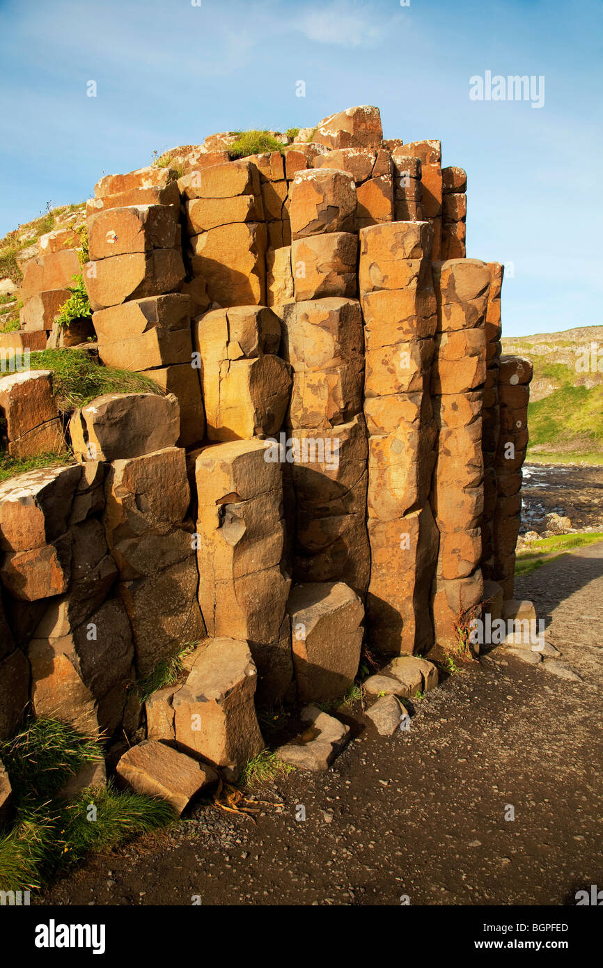 Red basaltic prisms at the Giant's Causeway Antrim Northern Ireland a natural phenomena and a world heritage site. Stock Photo