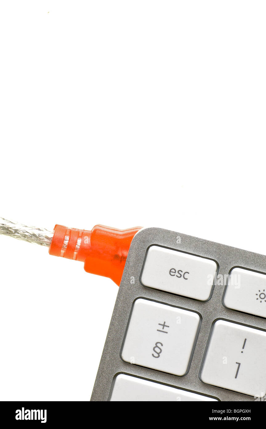 Computer keyboard and USB connection Stock Photo Alamy