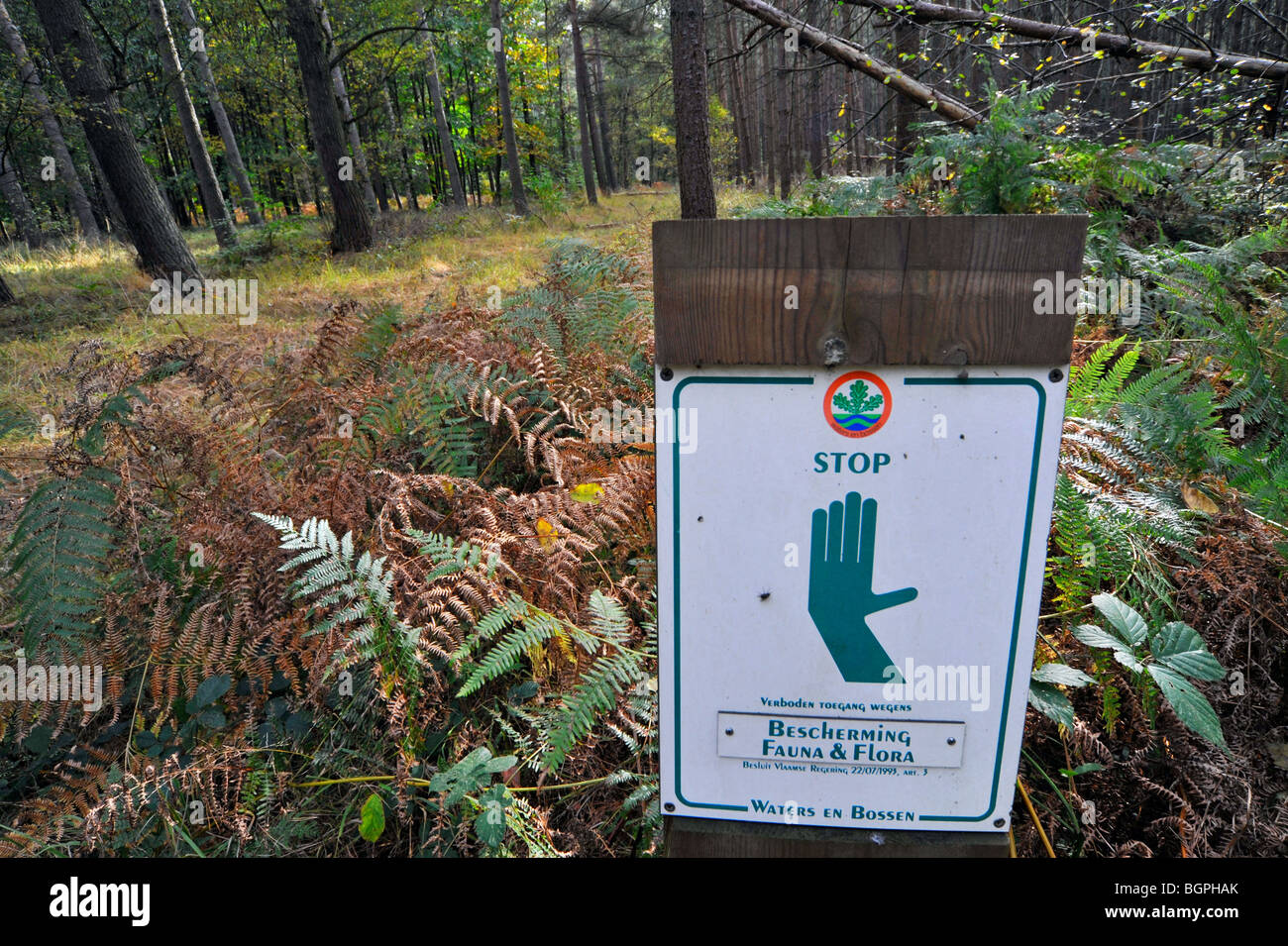 Prohibition stop sign with hand symbol to create quiet rest area in forest of nature reserve Meerdaalwoud, Belgium Stock Photo