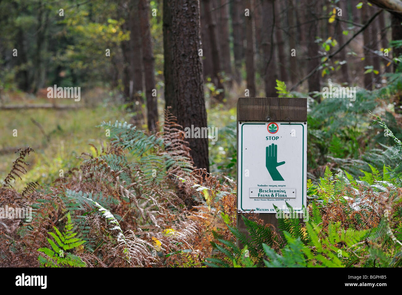 Prohibition stop sign with hand symbol to create quiet rest area in forest of nature reserve Meerdaalwoud, Belgium Stock Photo