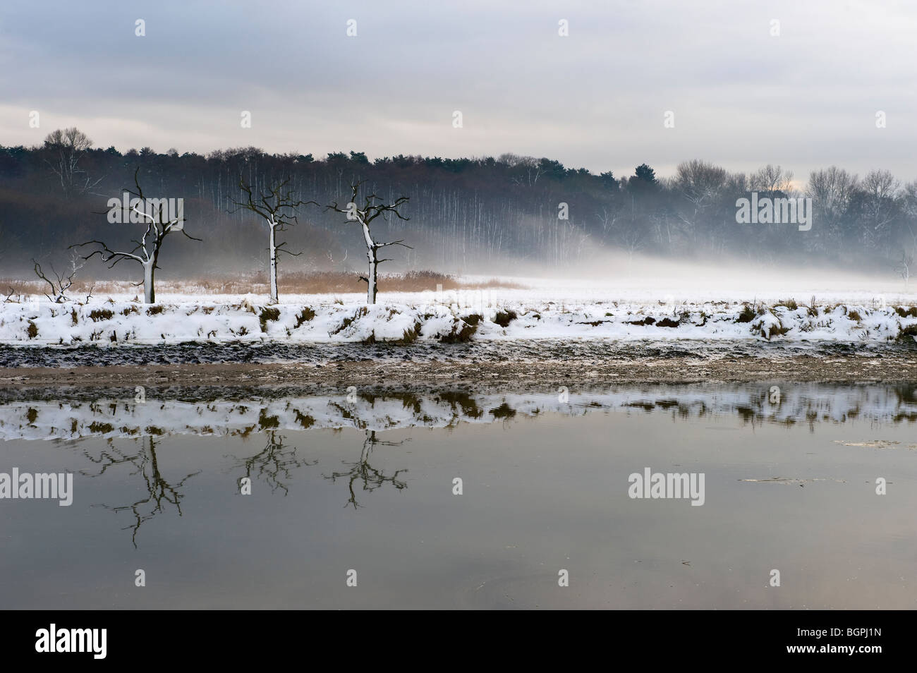 Winter snow Suffolk landscape River Deben Woodbridge Melton Suffolk UK Stock Photo