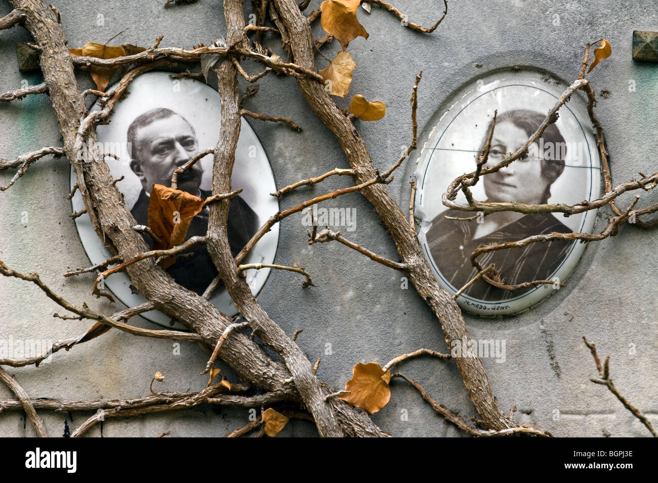 Old pictures of husband and wife on forgotten overgrown grave / tomb covered in ivy at cemetery in autumn Stock Photo