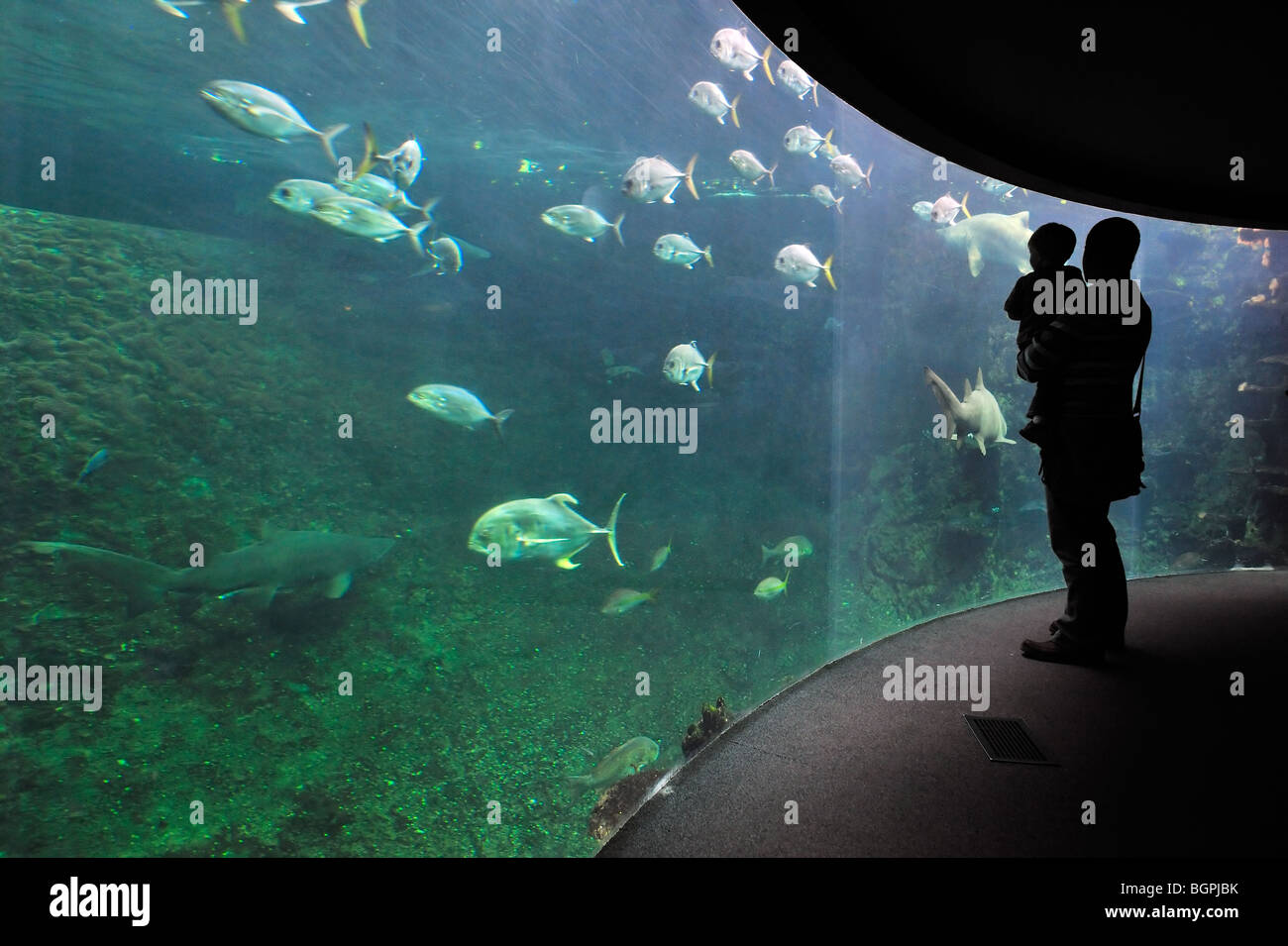 Tourists looking at the Nausicaä sea aquarium with tropical fishes, Boulogne-sur-Mer, Pas-de-Calais, France Stock Photo