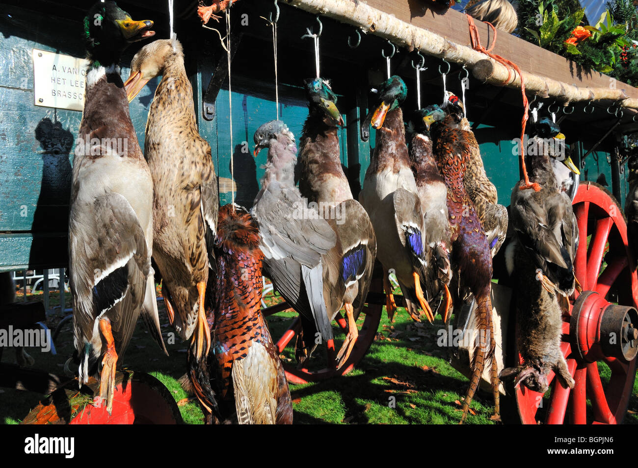 Cart with hunting game - mallard, wood pigeon, pheasant, rabbit ...