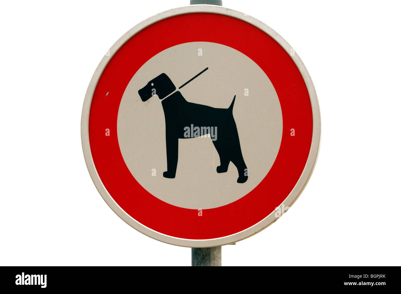 Warning sign prohibited for dogs, Belgium Stock Photo