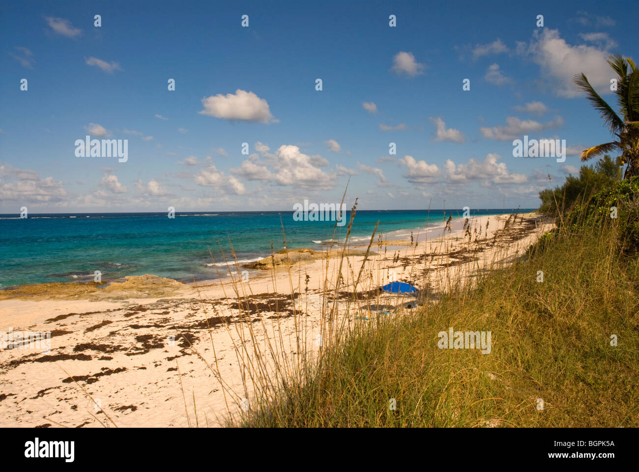 Beach at Nippers, Guana Cay, Abaco, Bahamas Stock Photo Alamy