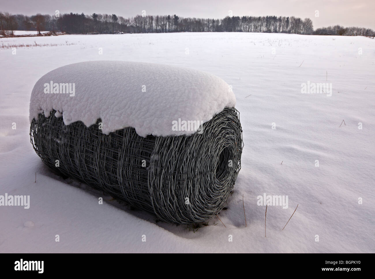 Bale of fencing wire. Stock Photo