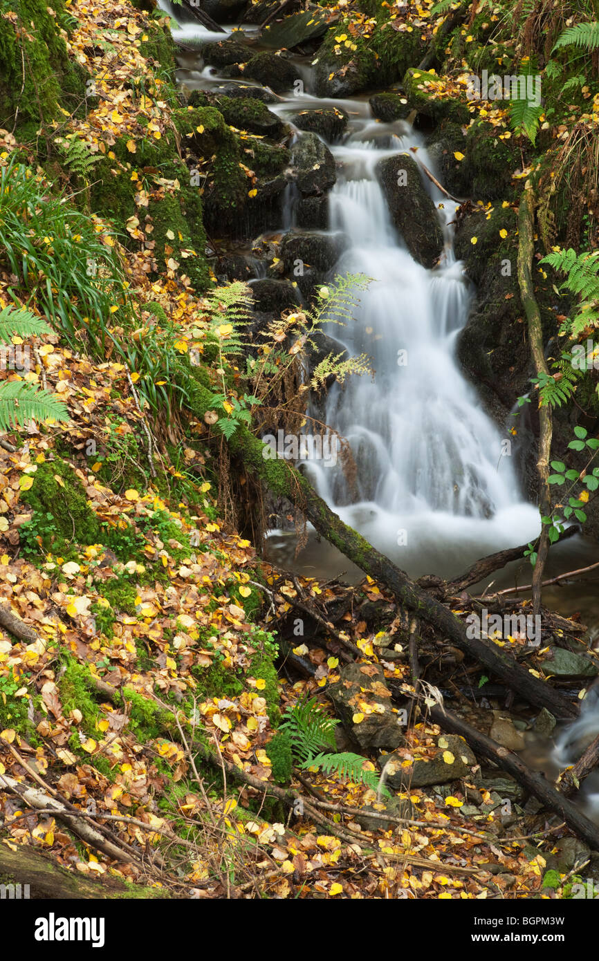 waterfall in Autumn Stock Photo
