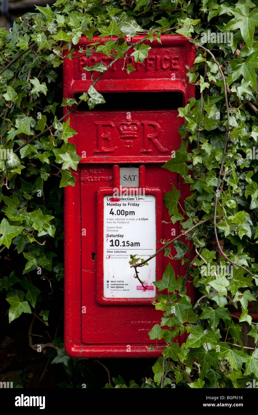 red post box with surrounding ivy Stock Photo
