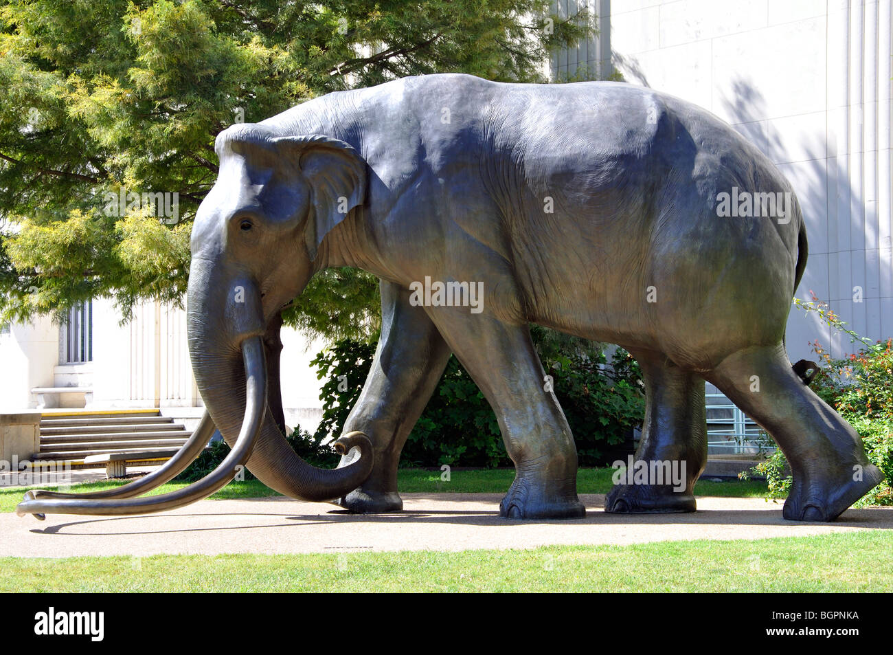 Texas State Fair, Dallas, Texas, USA Stock Photo Alamy