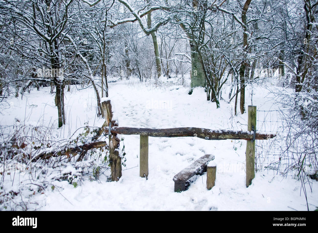 Winter sussex hi-res stock photography and images - Alamy