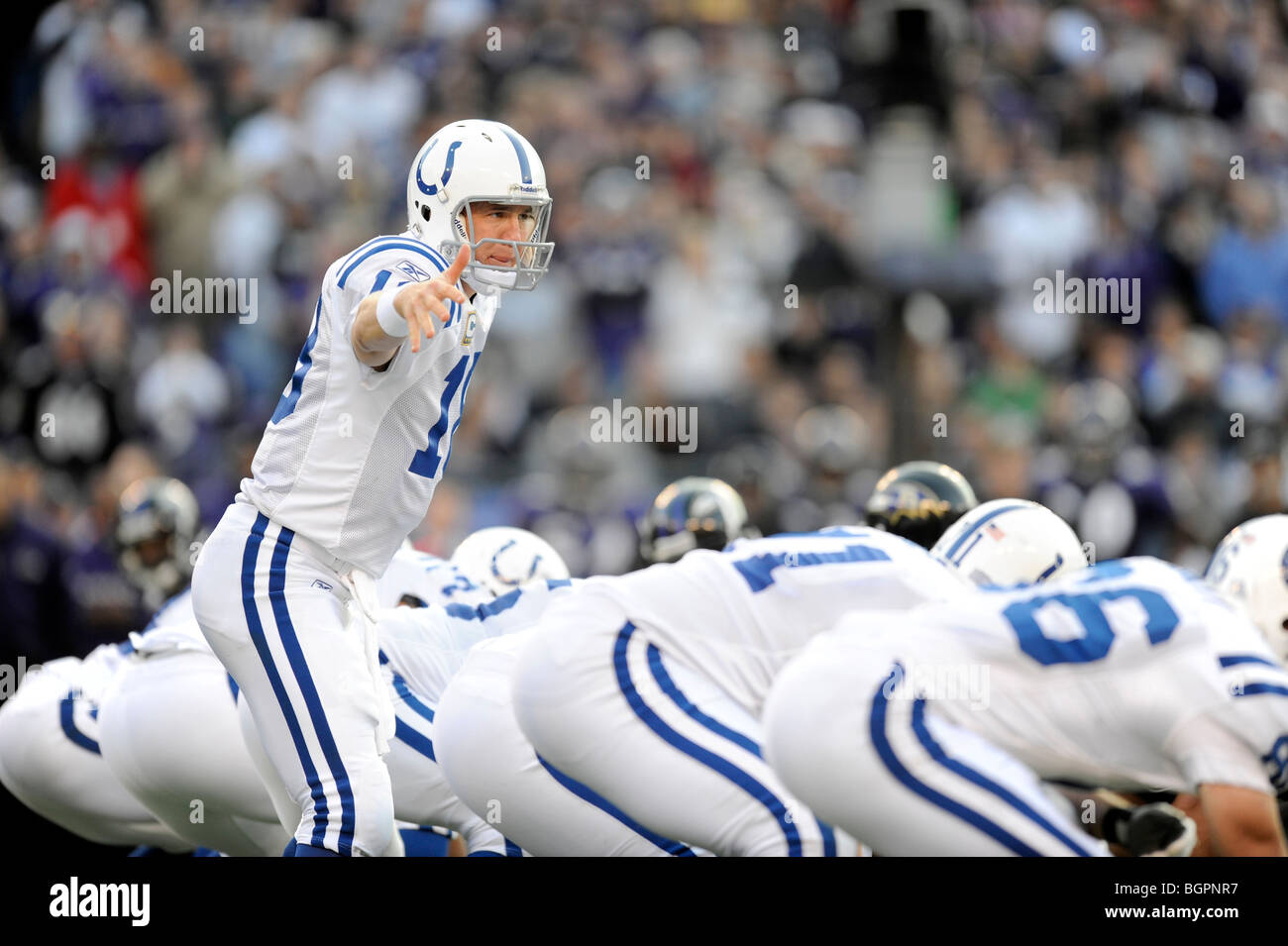 Peyton Manning #18 of the Indianapolis Colts calls signals at the line of scrimmage Stock Photo