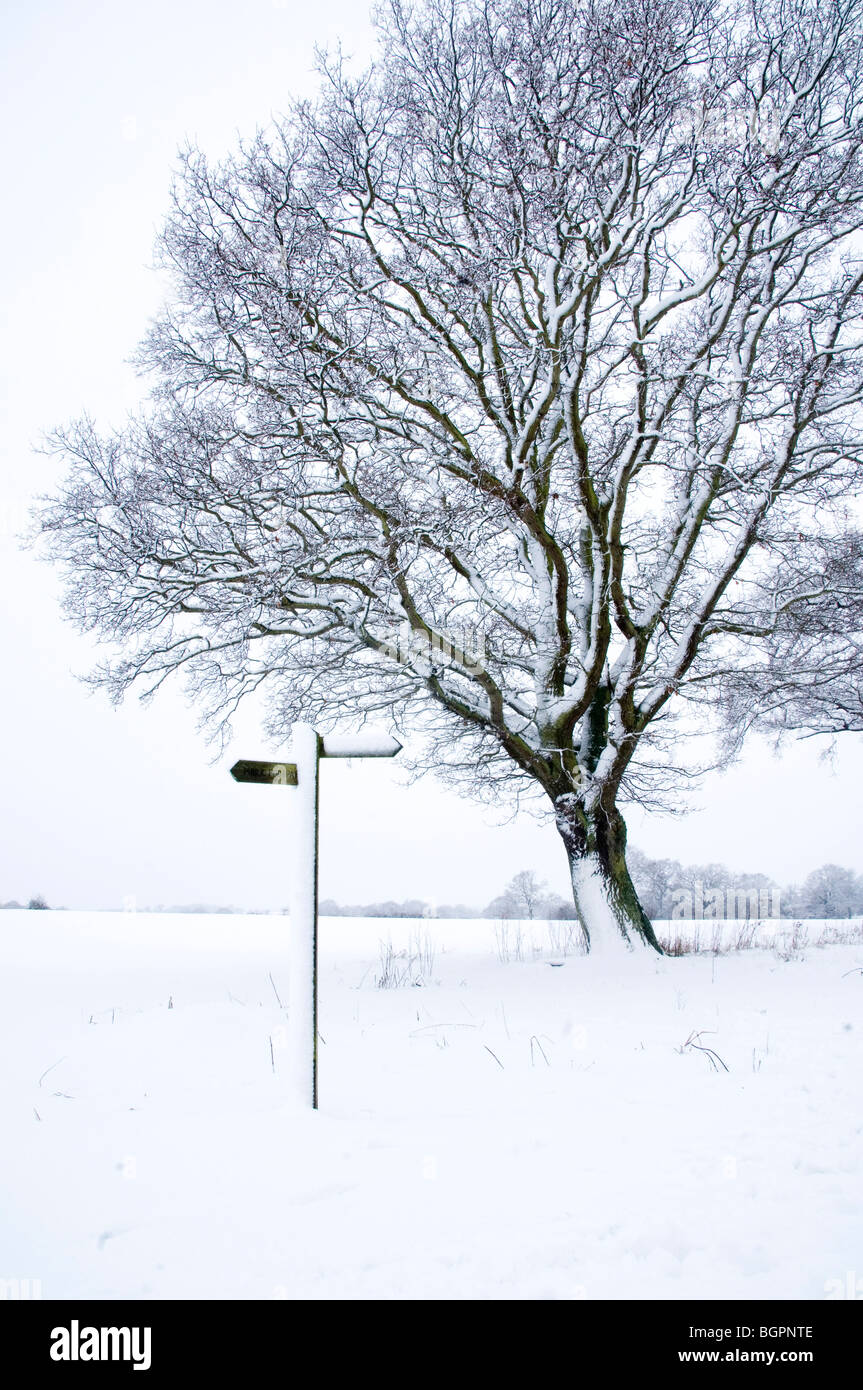 A SNOW COVERED LANDSCAPE IN THE SUSSEX COUNTRYSIDE Stock Photo