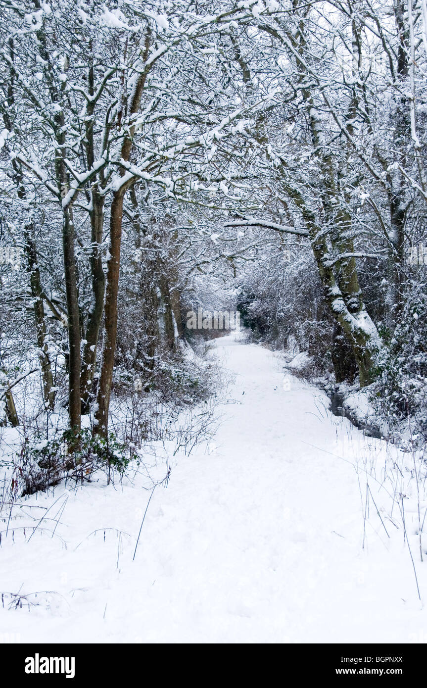 Winter sussex hi-res stock photography and images - Alamy