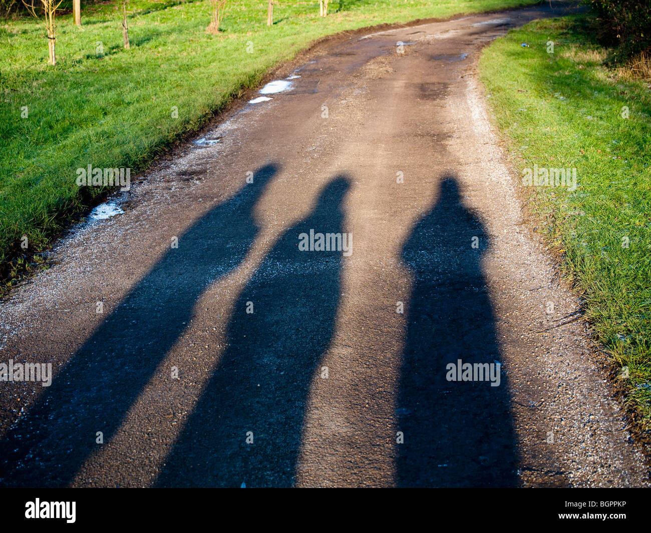 the shadows of three people walking down a road Stock Photo - Alamy