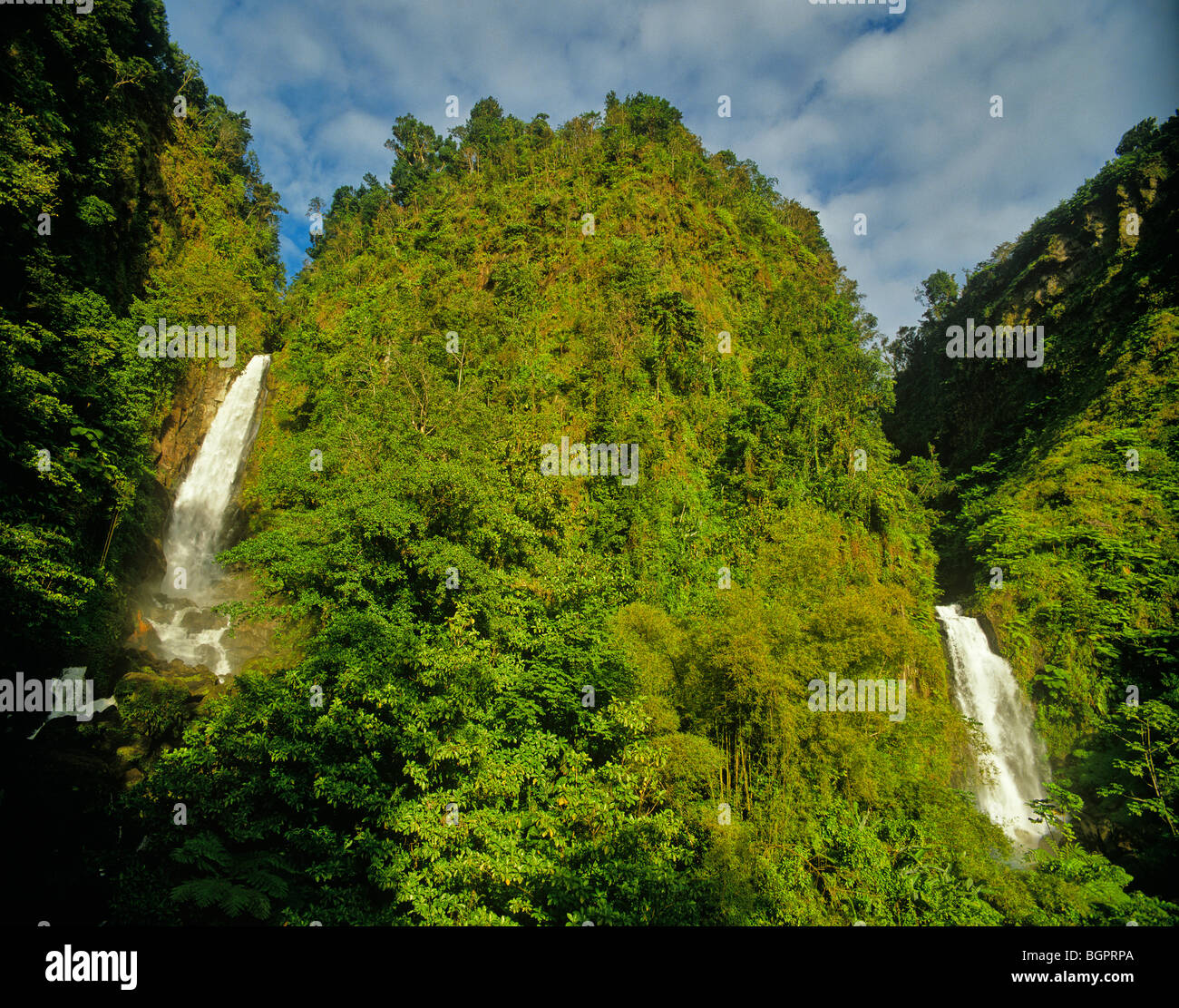 Trafalgar Falls above Roseau, tropical rainforest vegetation, Isle of Dominica, West Indies, BEAN ALPix 0221 Stock Photo
